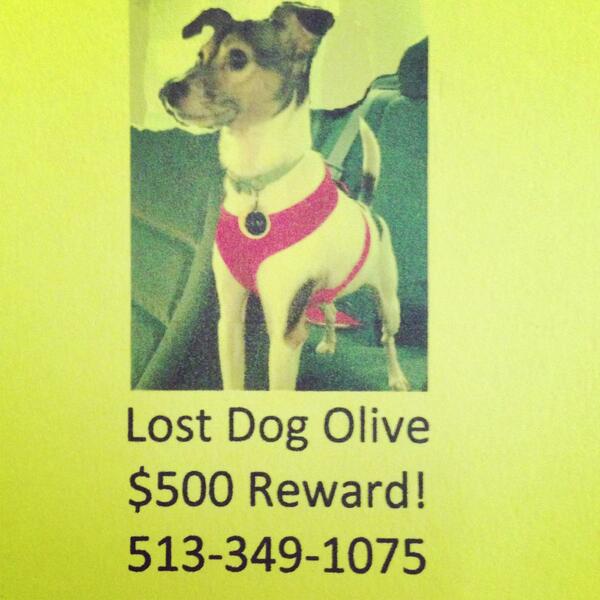 <a href="/WashingtonPark/">Washington Park</a> <a href="/OTRGateway/">OTR Gateway</a> <a href="/OTRcincy/">Over-the-Rhine</a> lost dog! Plz help spread the word-- owners frantically looking! <a href="/OTRmatters/">OTR Matters</a>
