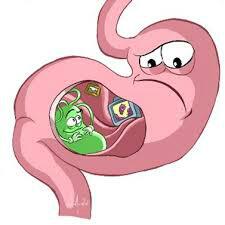 nandillu's tweet photo. asi esta mi estomago... http://t.co/0LwFta0tW3