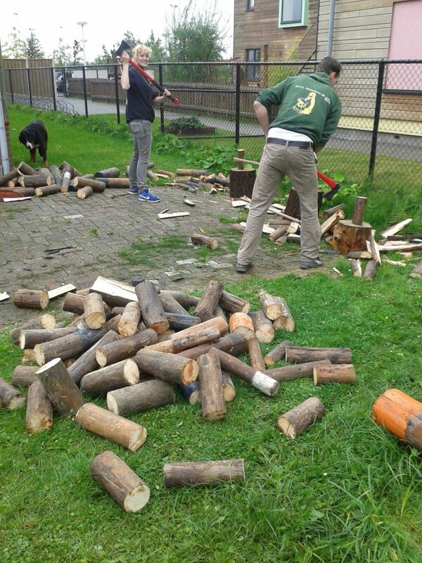 Vandaag veel hout gehakt en gezaagd #scouting #ridderhof