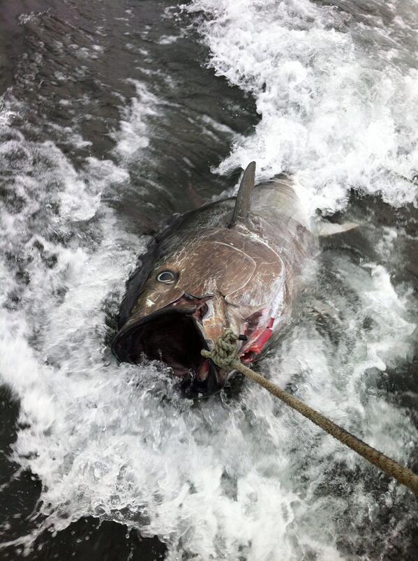 dylanfay11's tweet photo. @Dylanmac00 up yours buddy #slayedhim #abouttime http://t.co/YXfYmg4kRc