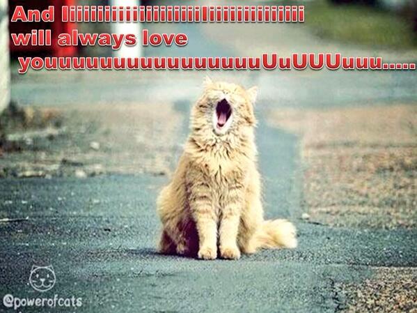 FatCats13's tweet photo. What a beautiful voice http://t.co/noqzjFYAeI