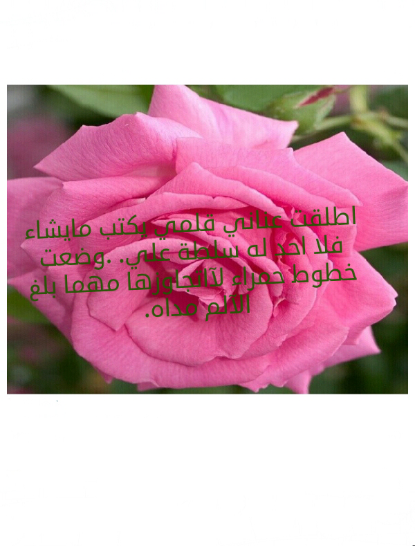 عنان قلم