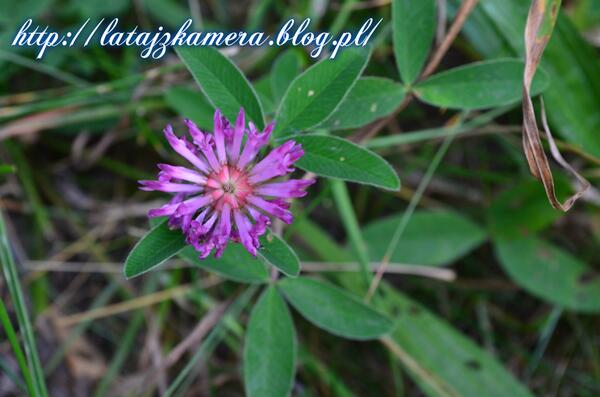 FlywithCamera's tweet image. 