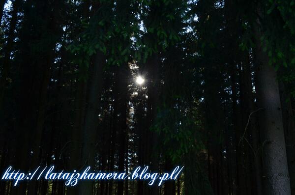 FlywithCamera's tweet image. 