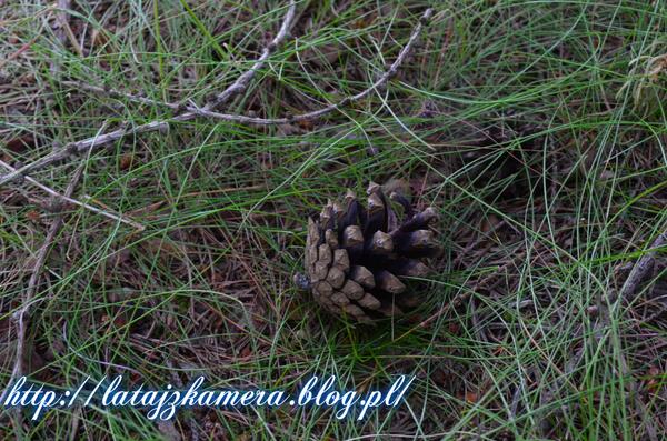 FlywithCamera's tweet image. 