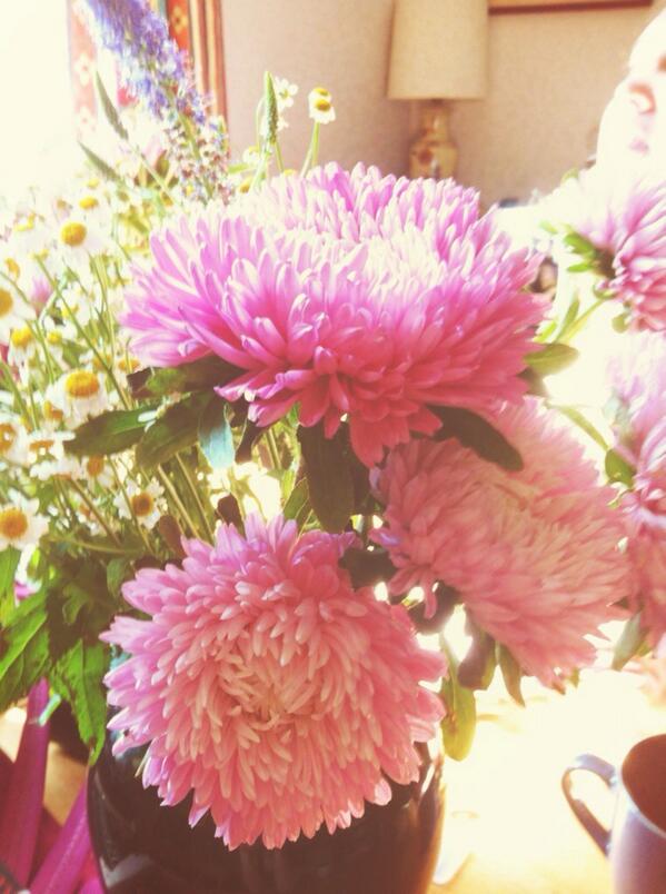 Tabitha_Tweets's tweet photo. Fresh flowers on a beautiful day #pink #flowers #beautiful http://t.co/fAWuzcVbXm