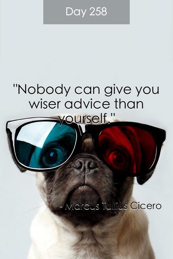 Tigerrudge's tweet photo. #trust#believe#conquer http://t.co/kOYk6X5TTq