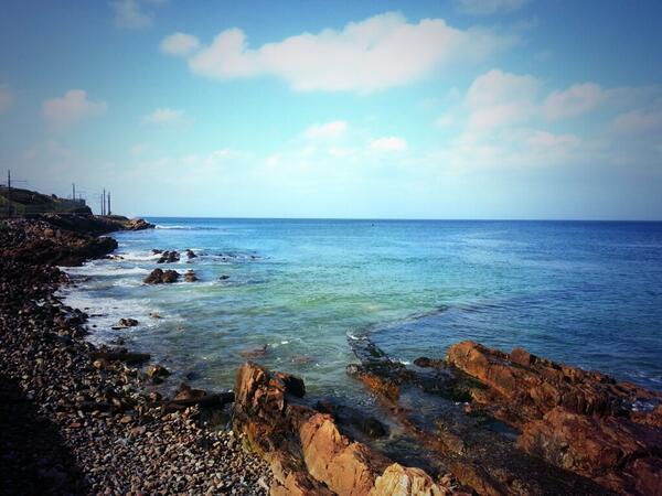 OMSAC's tweet photo. "@RochelleSA: 7 whales just off Long Beach, Simons Town! beautiful city #CapeTown http://t.co/1tLfuWmm7T" just outside @PiscesDiversCT