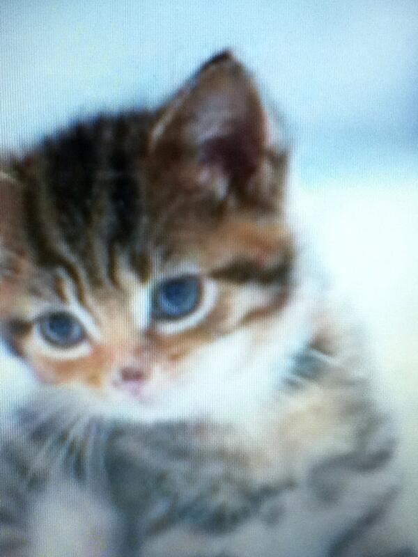 MarieState's tweet image. 