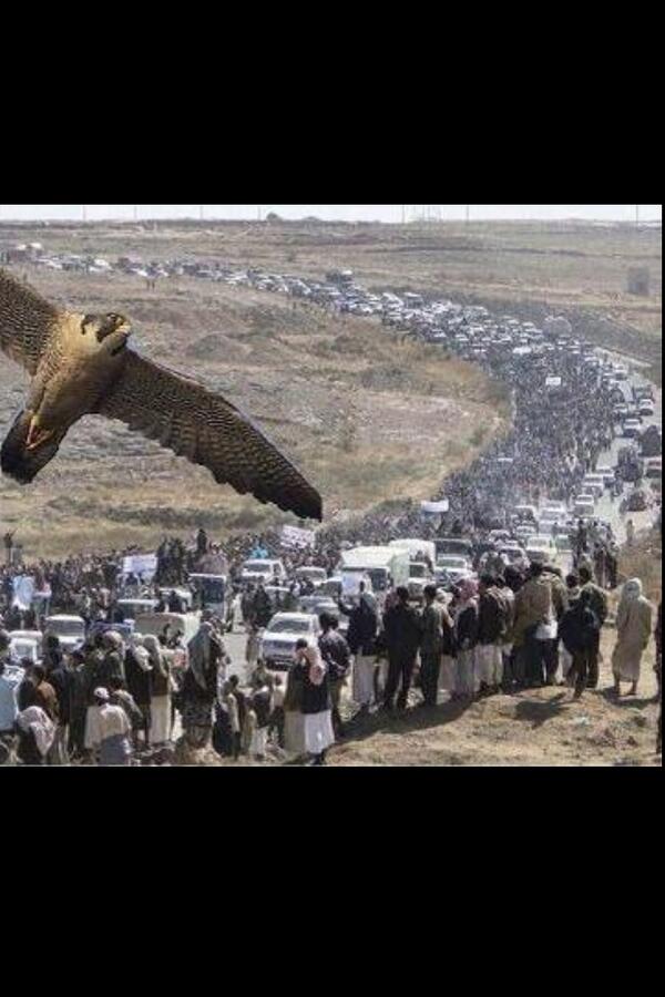 frk_313131's tweet image. قبائل حاشد 
،
تجمع ضخم جداً لقبائل حاشد وإن شاء الله انه الجهاد ضد الحوثي المجوسي

#اليمن #شبوه #رداع #ابين #عدن