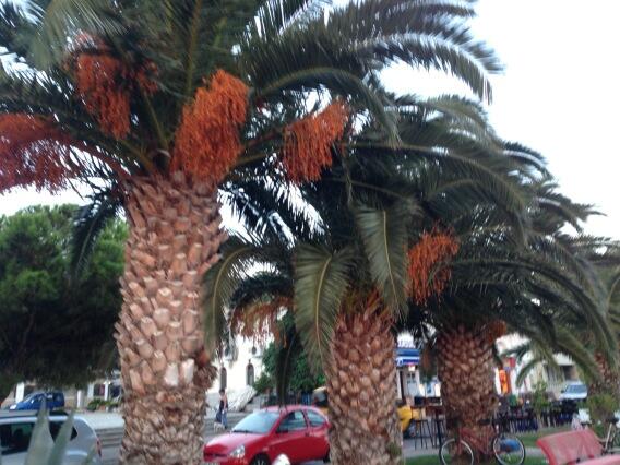 SevaReklam's tweet photo. İzmir foça http://t.co/JqsiEKOBrw