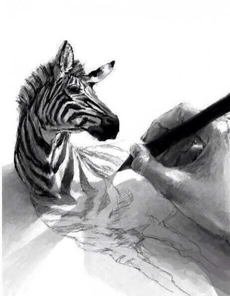 PhotosIllusions's tweet photo. Un dessin magnifique. http://t.co/ZYpBA5Uc0z