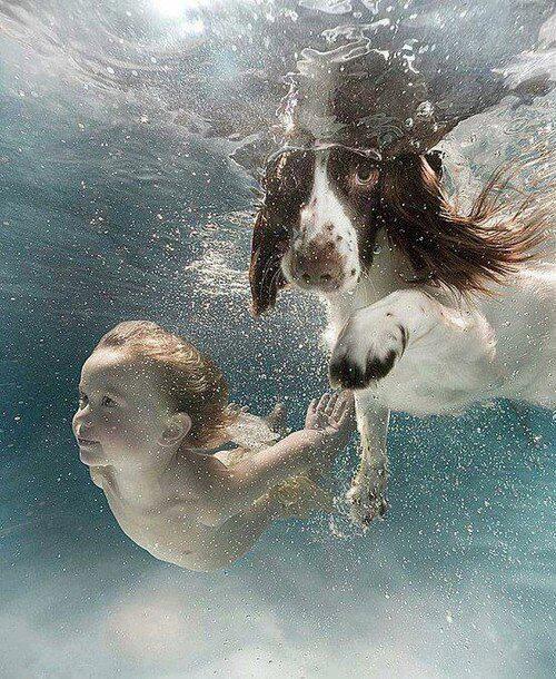 ENTDaily5's tweet photo. #dog #swimming with #child! Most awesome #underwater picture!!

https://t.co/bouvdixiSK http://t.co/jbYTfPEsoU