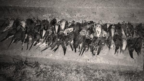 Jrsadler8's tweet photo. Pretty good weekend http://t.co/Yim9zGjKh8