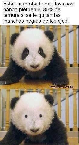 @sandomigue con amor