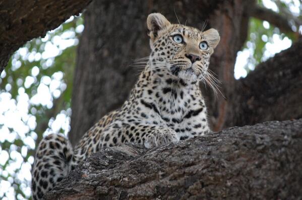 jej3831's tweet image. Had to share this she was amazing in real life. #goodqualitycamera