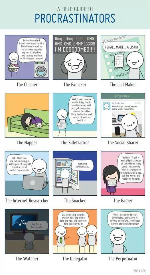 PaulaEvans13's tweet photo. Uummmm which one am I? #assignment #procrastination #UNI http://t.co/sbSajnLCCu