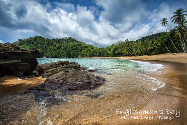 MotMotLodge's tweet photo. A Stunning example of Tobago, and its untouched beauty.....  #Tobago #Caribbean #MotMotLodge #Trinidad #Untouched http://t.co/uWT5yZpolW