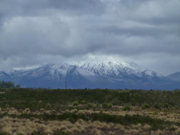 WildBayNZ's tweet image. Mnt Ruapehu, The snow blending into clouds as from the #northernexplorer  @KiwiRail