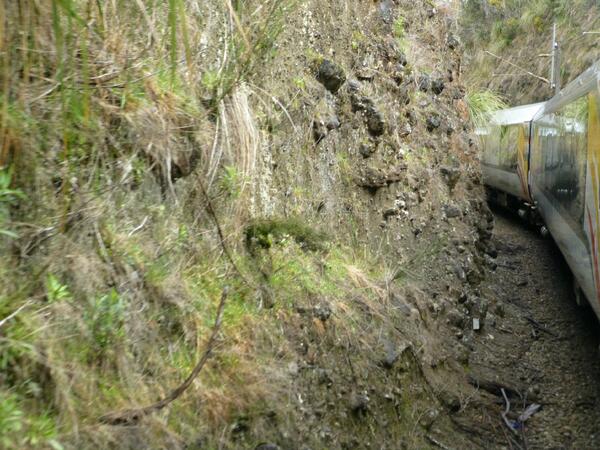WildBayNZ's tweet image. Close2the wall as the #northernexplorer heads thru1 of the tunnels on the spiral down fr the National Park @KiwiRail