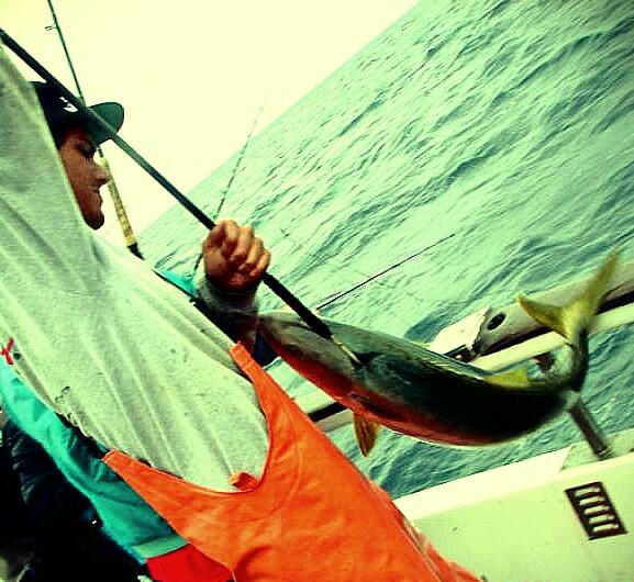 Shifty05's tweet photo. Yellowsss http://t.co/66h03RZFSm