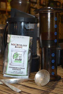 Conservation Edition OA Jawa (Java Gibbon)