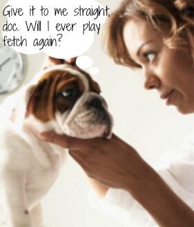 Headed to the vet? Here are some top questions to ask! ar.gy/5D5l