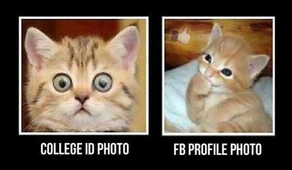 cornyman's tweet image. "@anna_bayes

Needed a laugh. This worked. :-)

http://t.co/VMdNzi2qQz"