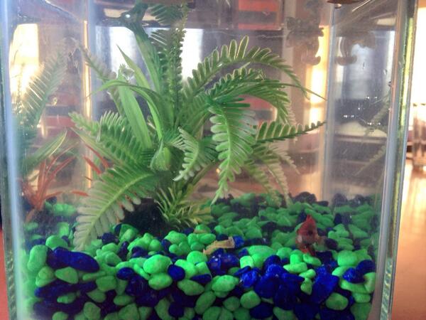 Ontmoet v #tashki <a href="/hiki_8V/">Eldore Venter</a> <a href="/jw_r_/">Jan Willem</a> <a href="/TashaKock/">Tasha Kock</a>