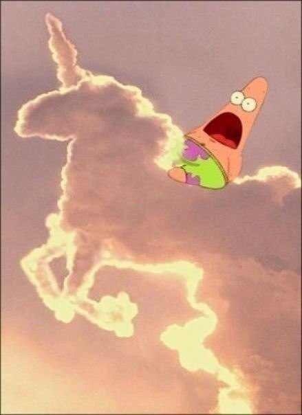 Firebeba's tweet image. Ураааа я теперь брюнетка, прощайте русые волосы:-)