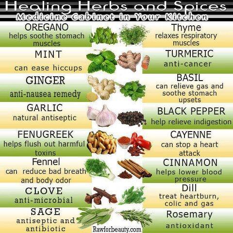 Net4Survival's tweet image. Healing Herbs and Spices for #survival