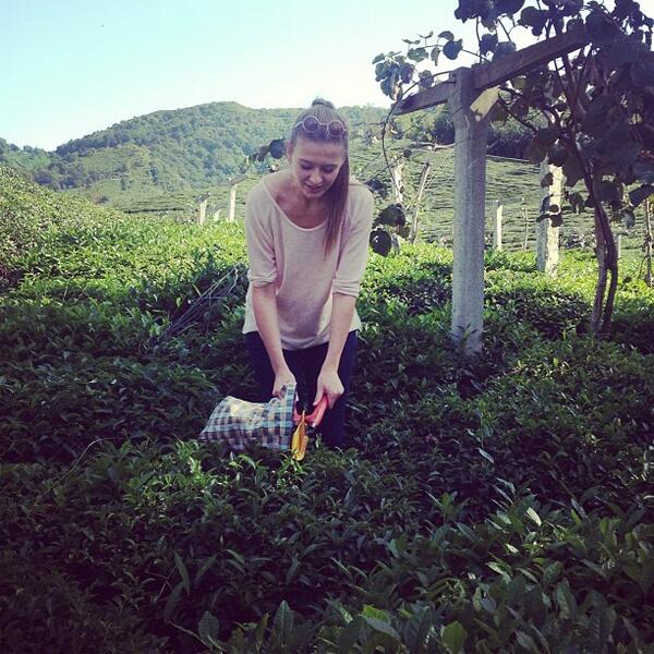 kıyamam sanaC : <a href="/tugcekrsunoglu/">Tuğce Kurşunoğlu</a>