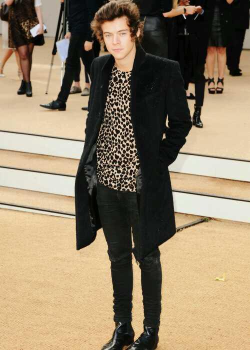 FactsHarry's tweet photo. Harry en el Burberry Fashion Show #1 http://t.co/8ruolklFBI