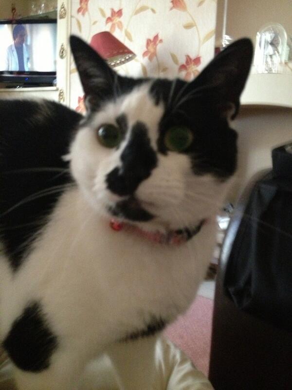 Gap0807's tweet photo. @wulliew85 u like my freind? http://t.co/wv3wslouto