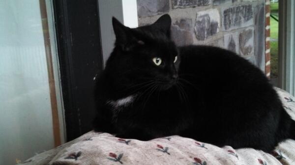 My friend <a href="/White_Patch_/">White Patch</a>