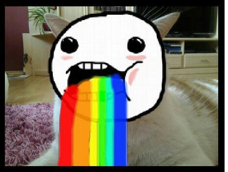 Instahead's tweet image. Cat #instahead