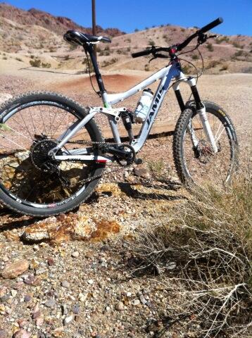 Elaine Bothe tweet media