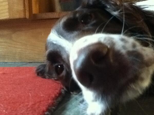 libbiesw's tweet image. Such a cutie pie 🙈