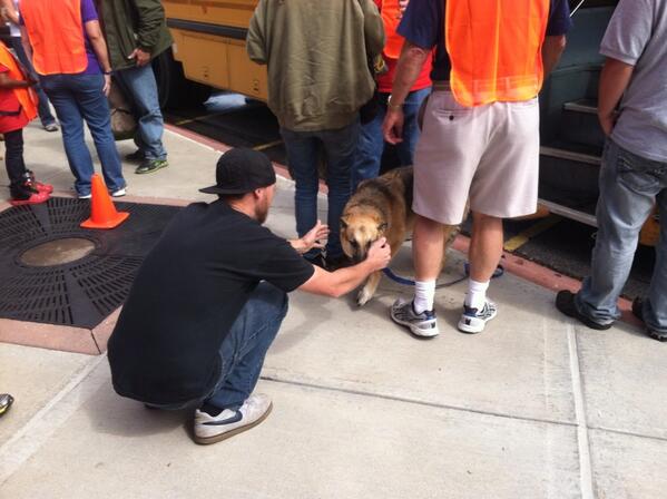 NinaSparano's tweet image. #Coflood Evacuated dog runs to his owner waiting at the #RedCross
