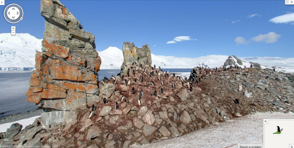 GreatNatureProj's tweet photo. #GreatNature #Penguin #Animal #bird #Antarctica #Googlestreetview http://t.co/CW7OOAKrDd