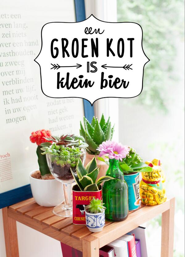 FLOOR-jongerencampagne wil academiejaar gezellig starten. Win een groen kot op floor.be.