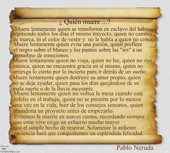 Carolina Sabino tweet media