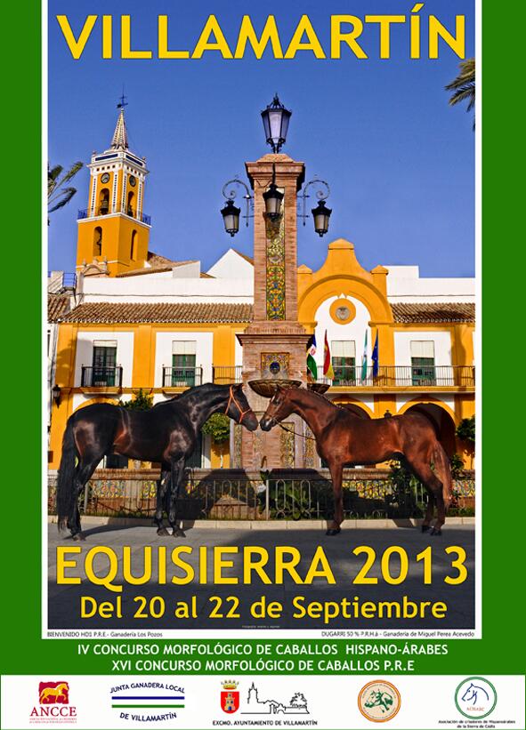 VI CONCURSO MORFOLÓGICO DE CABALLOS HISPANO-ARABES Y XVI CONCURSO MORFOLÓGICO DE CABALLOS #Villamartín #ProvCádiz