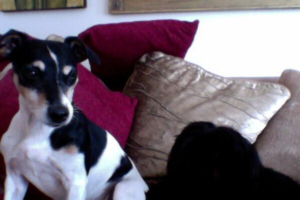 @SkyeCooperBarr  some of the family....