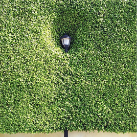 Bas_Fisher's tweet photo. opening this Friday September 20th at @Bas_Fisher (aka #BoxFramedImages) Tao Rey's "wordweary" (aka @wordweary) http://t.co/taLwVDS4YE
