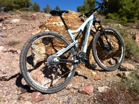 Elaine Bothe tweet media