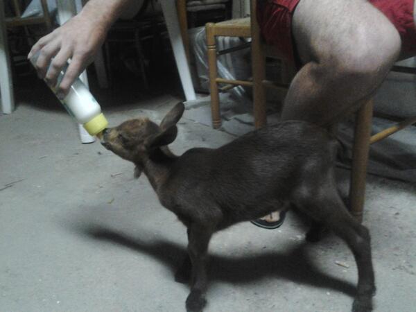vinicokb's tweet photo. La hora de la leche!! tenia sed,casi engulle el chupete del biberón!! jajajaja!! :-) http://t.co/AAqNRCFz0L