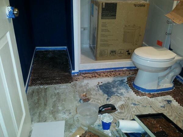 TRexToGo's tweet image. The slow and steady win the race?