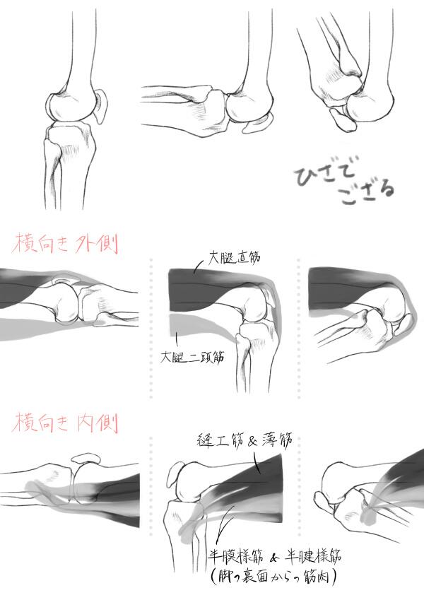 また無駄に丁寧に描いちゃったでござる(膝の勉強) 