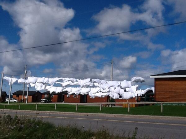 GrosMorneCabins's tweet photo. Windy Day @GrosMorneCabins @VisitGrosMorne @GrosMorneRocks http://t.co/IOCrc21Vpt